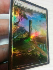 Plains #13 Foil Extended